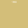 1000 1000